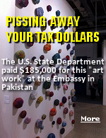 The State Department spent $185,000 for 98 balls of thread mounted on a wall in the Pakistani embassy.